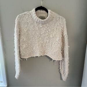 Urban Outfitters Shag Crop Sweater